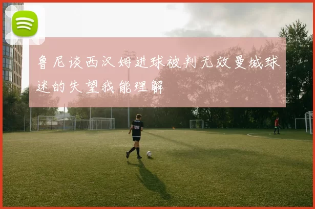 鲁尼谈西汉姆进球被判无效曼城球迷的失望我能理解