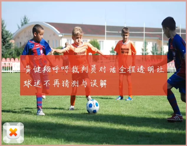 黄健翔呼吁裁判员对话全程透明让球迷不再猜测与误解
